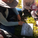 Spotlight on – The Bundjil’s Nest Project, Balnarring, Victoria