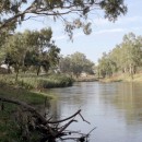 Scenario - Acknowledgement of Country